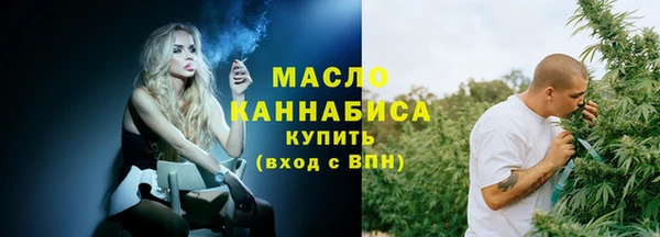 дживик Бронницы