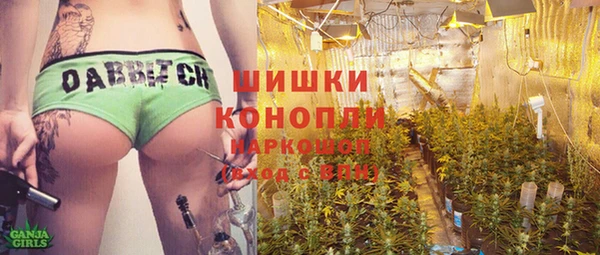дживик Бронницы